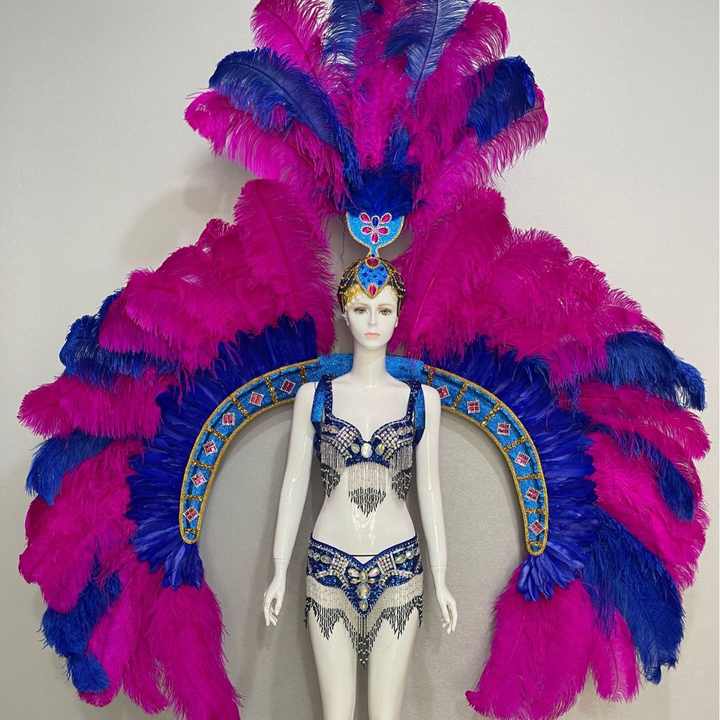 Brazilian Samba Carnival Carnival Feathered Wings Music Festival Dancer Parade Performance Costume