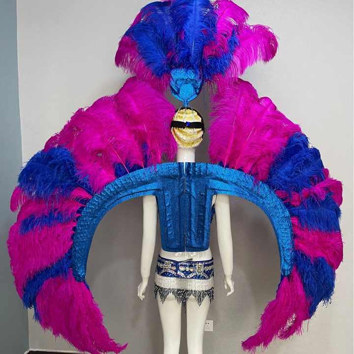 Brazilian Samba Carnival Carnival Feathered Wings Music Festival Dancer Parade Performance Costume