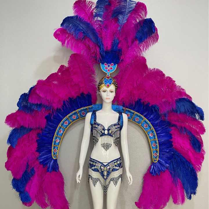 Brazilian Samba Carnival Carnival Feathered Wings Music Festival Dancer Parade Performance Costume