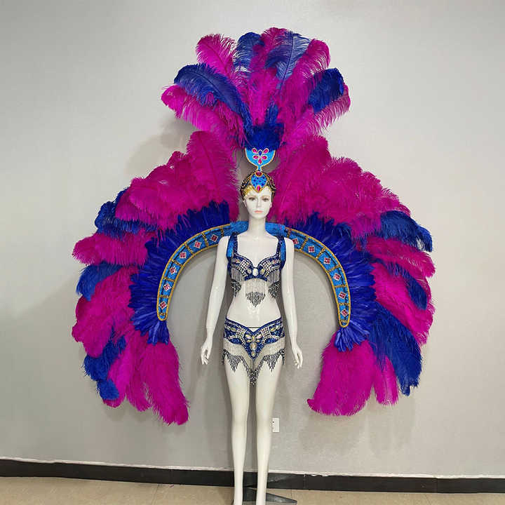 Brazilian Samba Carnival Carnival Feathered Wings Music Festival Dancer Parade Performance Costume