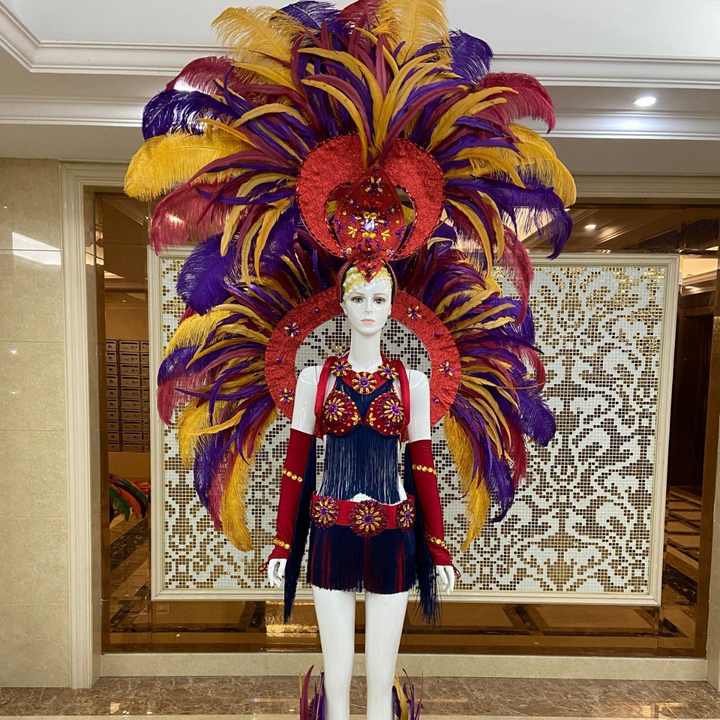 Brazilian Samba Headdress Props Parade Costumes Carnival Party Stage Performance Ostrich Feather wings