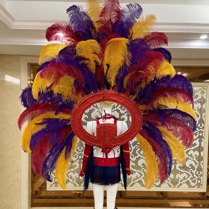 Brazilian Samba Headdress Props Parade Costumes Carnival Party Stage Performance Ostrich Feather wings