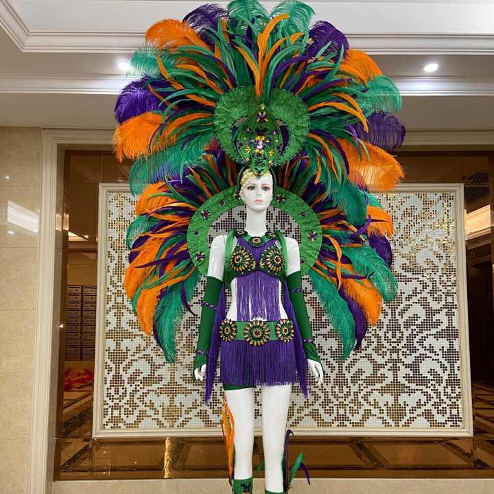 Brazilian Samba Headdress Props Parade Costumes Carnival Party Stage Performance Ostrich Feather wings