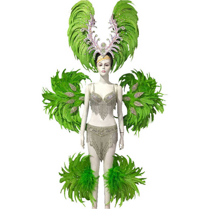Spectacular Feather Samba Wings for Carnival Parties, Dance Shows & Grand Stage Performances