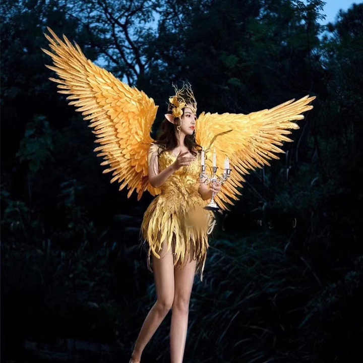 Dreamy Wings, Embark on a Fantastical Journey