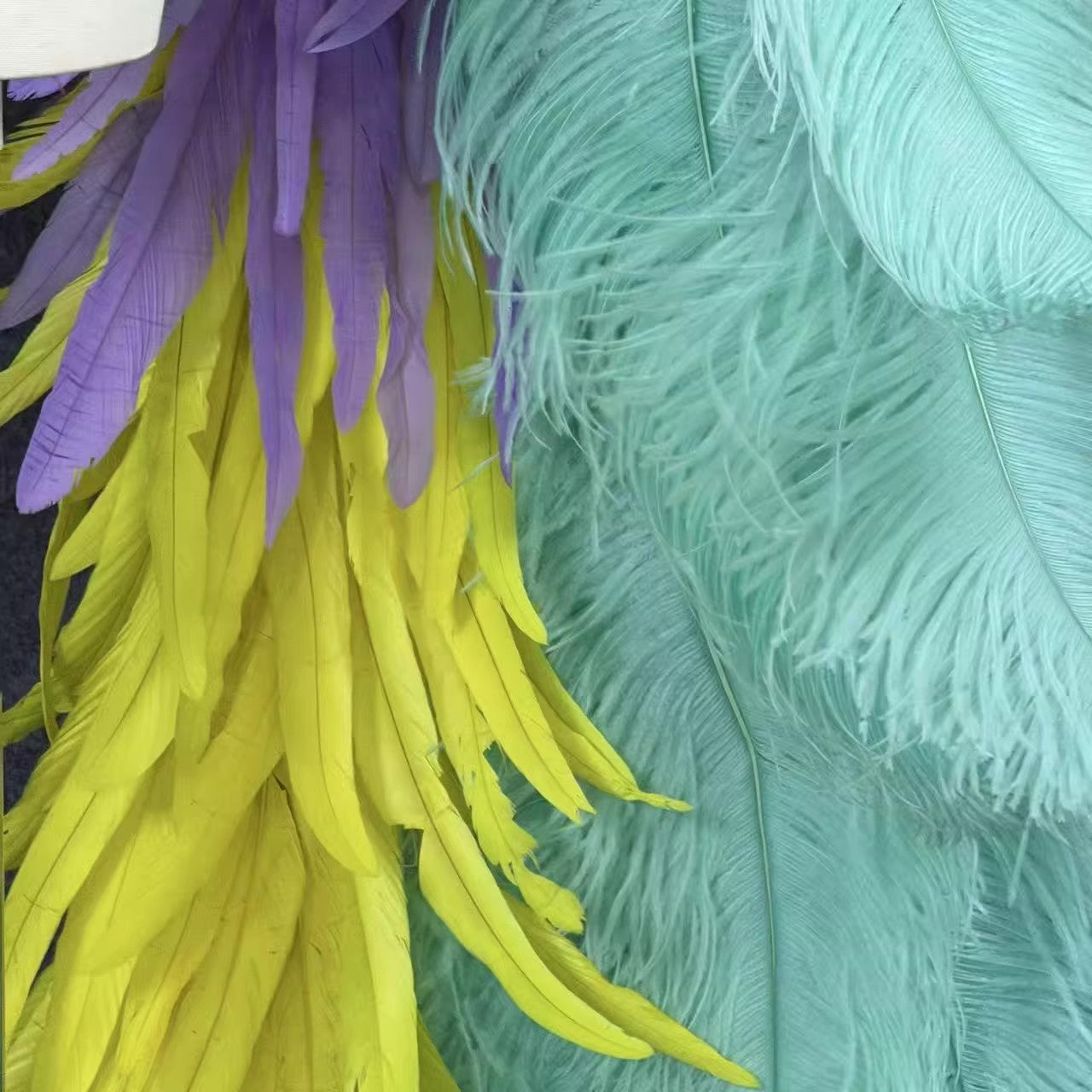 Custom Oversized Ostrich Feather Wings, Performance Props for Amusement Park Parade & Carnival Show