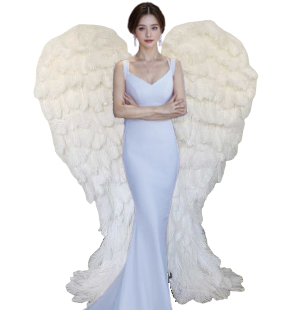 Wholesale Custom White Ostrich Feathers wings Adult Size Costume White Feather Angel wings
