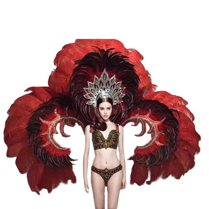 Brazilian Festival Stage Performance Samba wings Large Angel Big Show wings Samba Stage Feather wings