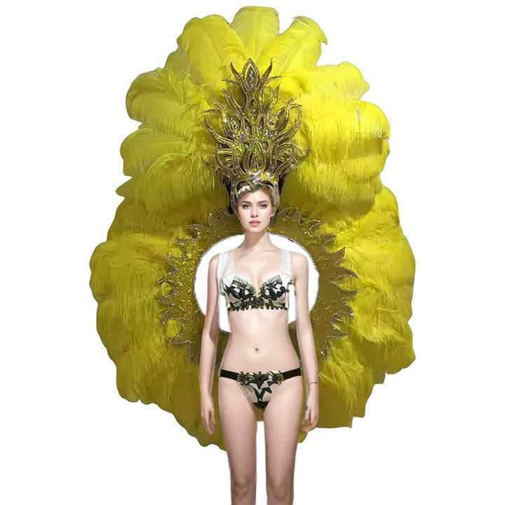 Brazilian Festival Stage Performance Samba wings Large Angel Big Show wings Samba Stage Feather wings