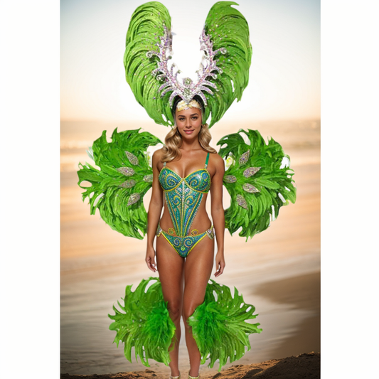 Spectacular Feather Samba Wings for Carnival Parties, Dance Shows & Grand Stage Performances