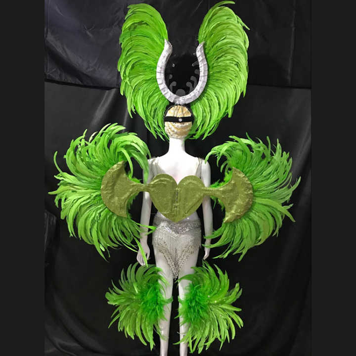 Spectacular Feather Samba Wings for Carnival Parties, Dance Shows & Grand Stage Performances