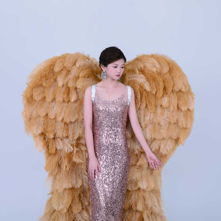 Yellow high-quality ostrich feather angel wings. They are role-playing prop costumes used for modeling shows and wedding photography.