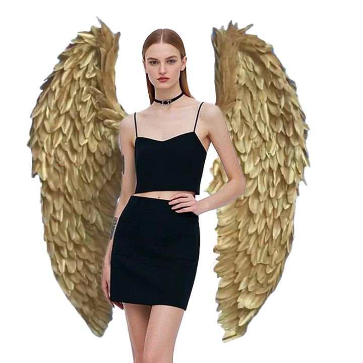 Golden Feather Wings, Show Props, Angel Wings, Photography Props